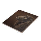 Carreau Chien Brown (Côté)