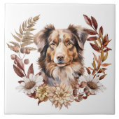 Carreau Chien Brown rouge de l'Australie berger couronne d (Devant)