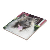 Carreau Chien d'Akita (Côté)