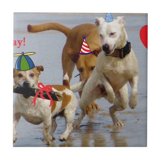 Carreau chien d'anniversaire heureux (Devant)