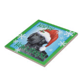 Carreau Chien d'arrêt Bouclé-Enduit heureux de Howliday (Côté)