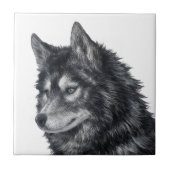 Carreau Chien de Balto (Devant)