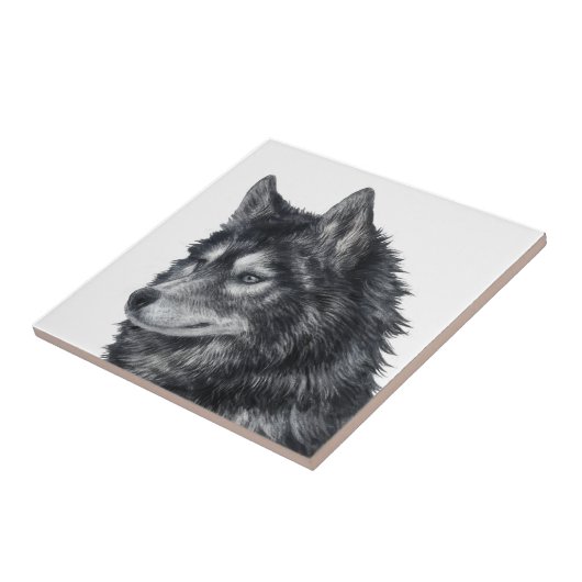 Carreau Chien de Balto (Côté)