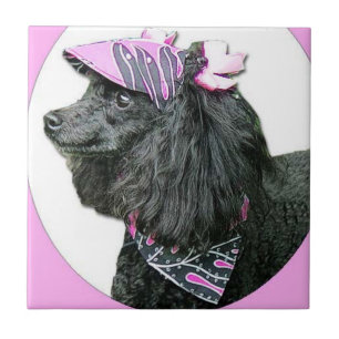 Carreau Chien de caniche de jouet