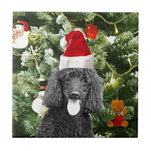 Carreau Chien de caniche sapin de Noël Snowman Red Santa C (Devant)