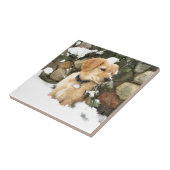 Carreau Chien de Chien de la neige en plein air photo rust (Côté)