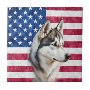 Carreau Chien de compagnie Border Collie drapeau américain