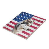 Carreau Chien de compagnie Border Collie drapeau américain (Côté)
