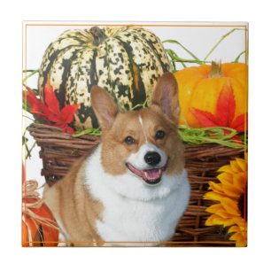 Carreau Chien de corgi de Halloween Gallois