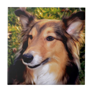 Carreau Chien de délivrance