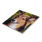 Carreau Chien de délivrance (Côté)