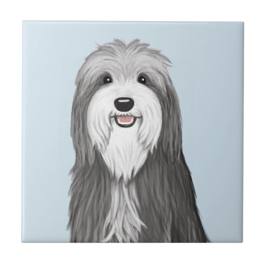 Carreau Chien de dessin de Collie à poils (Devant)