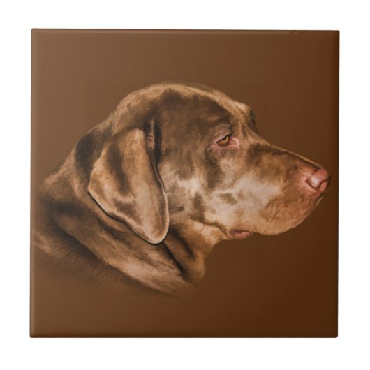 Carreau Chien de labrador retriever, tuile, (Devant)