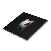 Carreau Chien de Poméranie en noir (Côté)