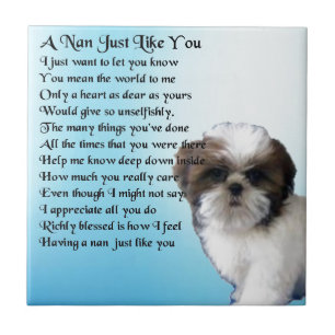 Carreau Chien de Shih Tzu - poème de Nan