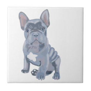 Carreau Chien de taureau gris bleu