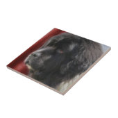 Carreau Chien de Terre-Neuve noir et blanc (Côté)