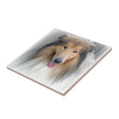 Carreau Chien doux (Côté)