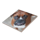 Carreau Chien drôle de boxeur (Côté)