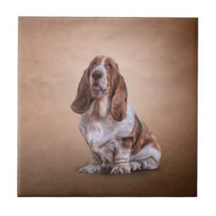 Carreau Chien drôle de dessin de Basset Hound