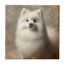 Chien esquimau américain