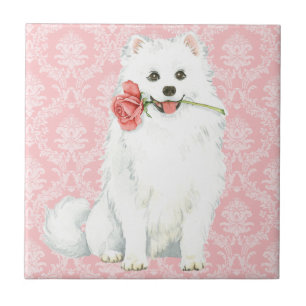 Carreau Chien esquimau américain de rose de Valentine