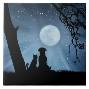 Carreau Chien et chat super mignons avec l'art de la lune