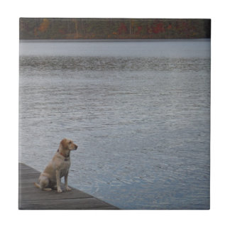 Carreau Chien jaune sur quai