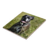 Carreau Chien mignon dans l'herbe (Côté)