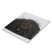 Carreau Chien noir de Pekingese se couchant (Côté)