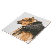 Carreau Chien noir orange (Côté)