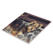 Carreau Chien orange et noir (Côté)