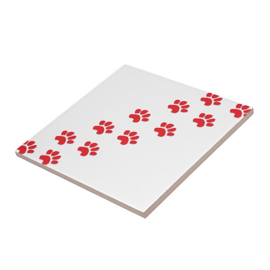 Carreau Chien Paws (Côté)
