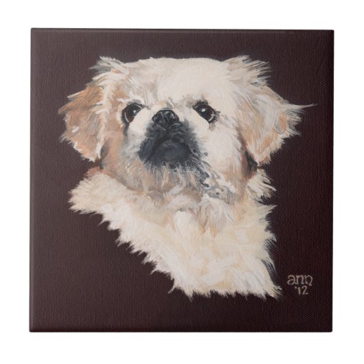 Carreau Chien Pékinois Blanc (Devant)