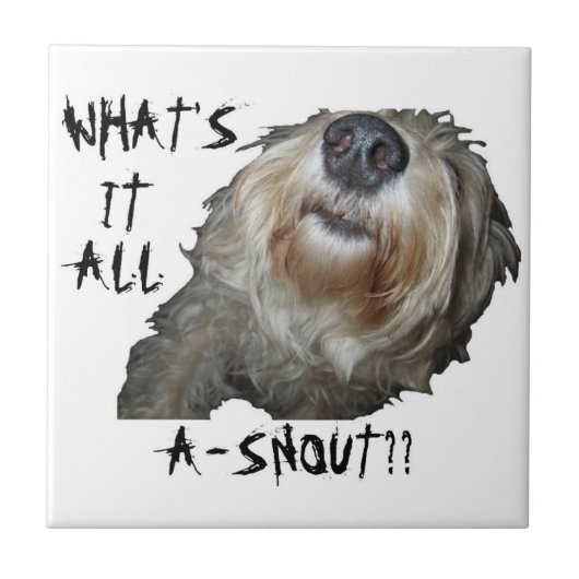 Carreau Chien "QU'EST-CE QUE C'EST QUE DE LA NEIGE ? ?" Ca (Devant)