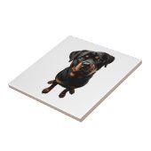Carreau chien rottweiler (Côté)