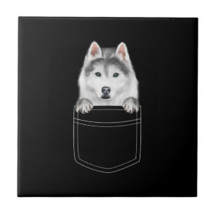 Carreau Chien Sibérien Husky À Poche  Drôle cadeau de l'am