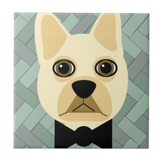 Carreau Chien-taureau français, Porc vert (Devant)