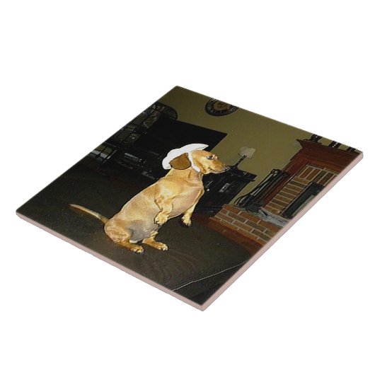 Carreau Chien Teckel Drôle Amateur Assis Joli Cuisine (Côté)