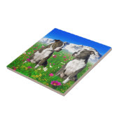 Carreau Chiens Brindle et bleus du Staffordshire et de (Côté)