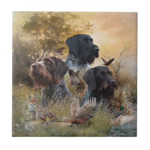 Carreau Chiens de chasse polyvalents