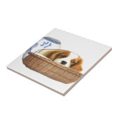 Carreau Chiens de chiots (Côté)