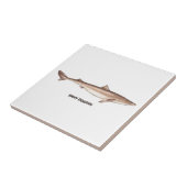 Carreau Chiens de mer épineux (Côté)