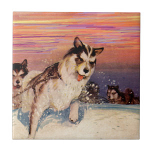 Carreau Chiens de traîneau husky sibériens des années 1940