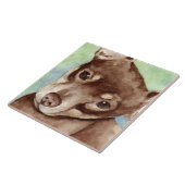 Carreau Chihuahua (Côté)