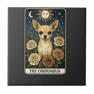 Carreau Chihuahua