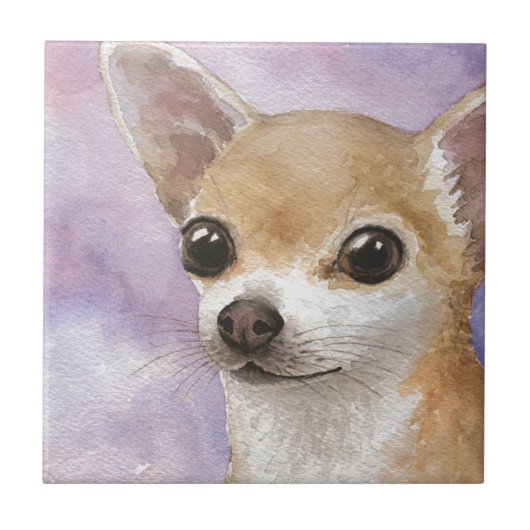 Carreau Chihuahua Chien 95 (Devant)