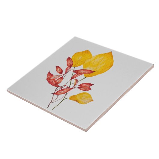 Carreau Chili & Turmeric sur carrelage en céramique (Côté)