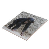 Carreau Chimpanzé 031 (Côté)