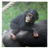 Carreau Chimpanzé 032 (Devant)